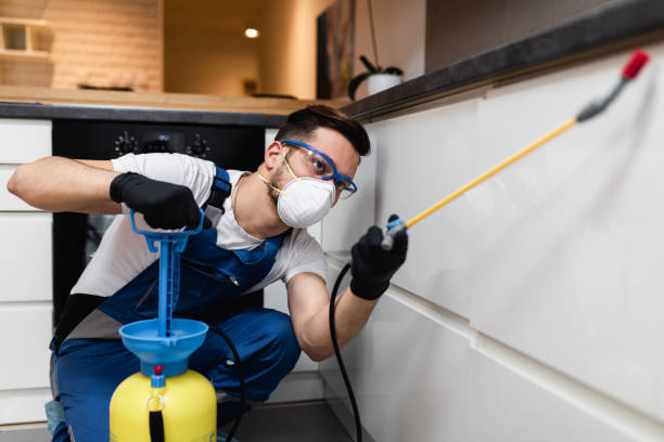 Best Pest Control Near Me  in Fairmont, NC