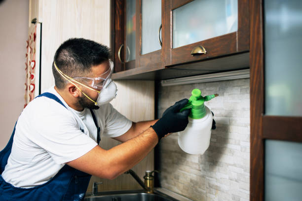 Best Residential Pest Control  in Fairmont, NC