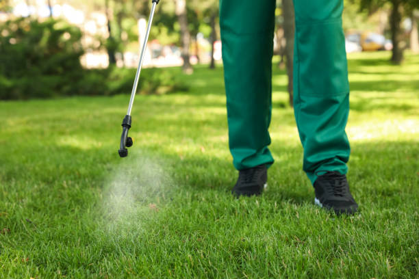 Best Rat Extermination Near Me  in Fairmont, NC