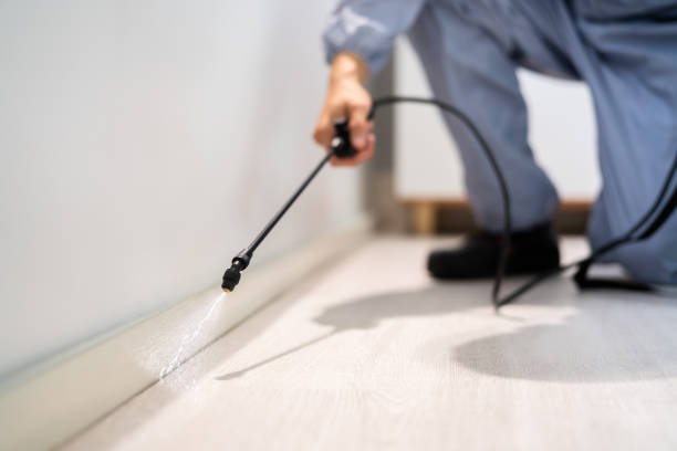 Professional Pest Control in Fairmont, NC
