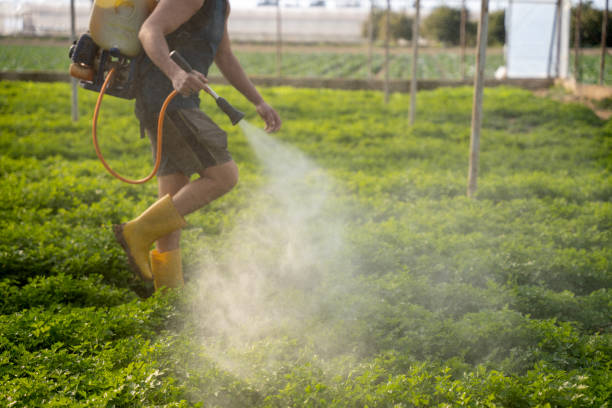 Best Residential Pest Control  in Fairmont, NC