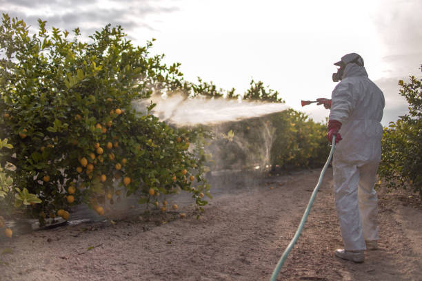 Best Local Pest Control Services  in Fairmont, NC