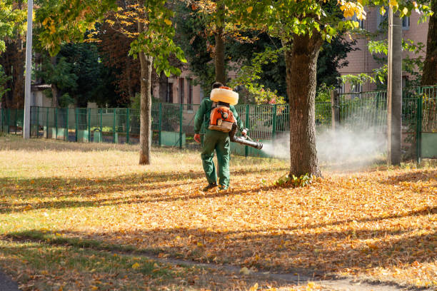 Best Pest Control Near Me  in Fairmont, NC