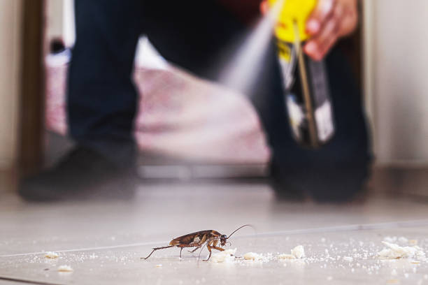 Best Insect Control  in Fairmont, NC
