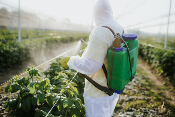Best Pest Inspection Near Me  in Fairmont, NC